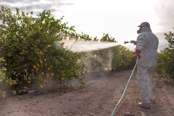 Best Pest Removal Services  in St George, MO