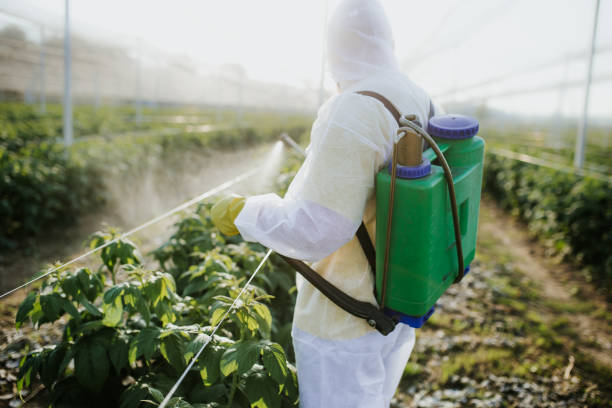 Best Ant Control Services  in St George, MO